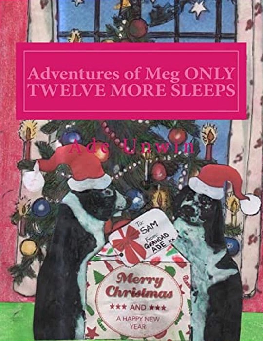 Adventures Of Meg Only Twelve More Sleeps-..