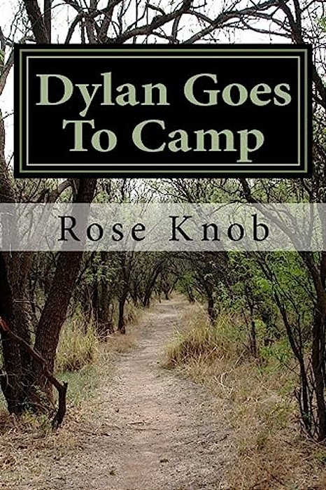 Dylan Goes To Diabetes Camp: Dylan Vs. Camp-..