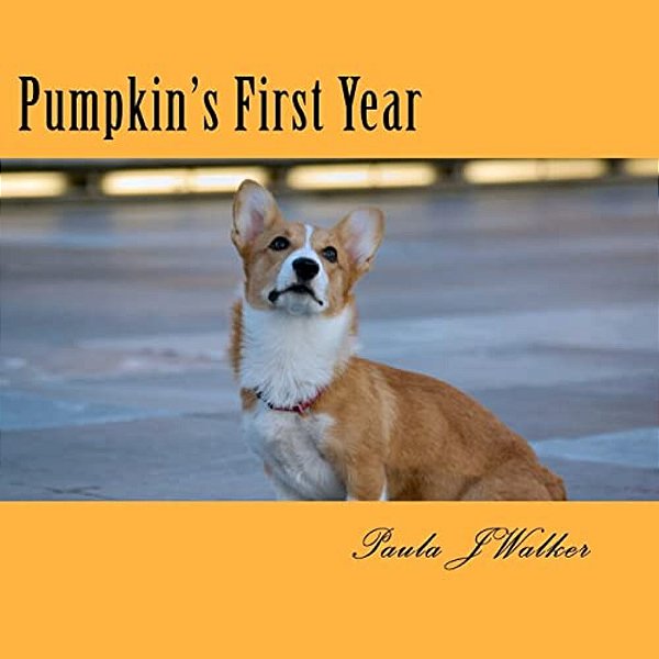 Pumpkin's First Year-..