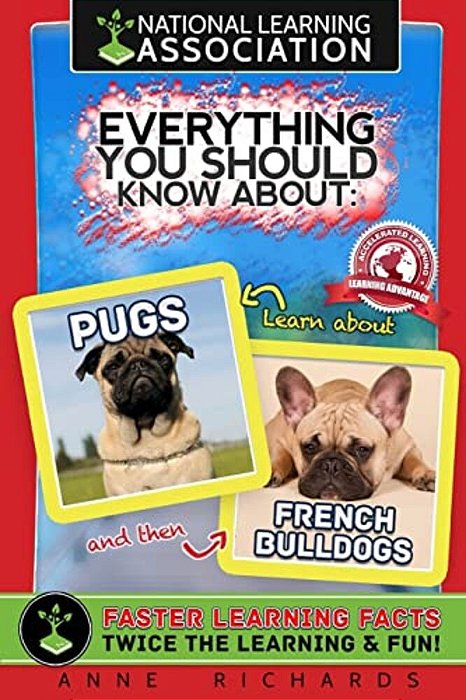 Everything You Should Know About: Pugs And French Bulldogs-..