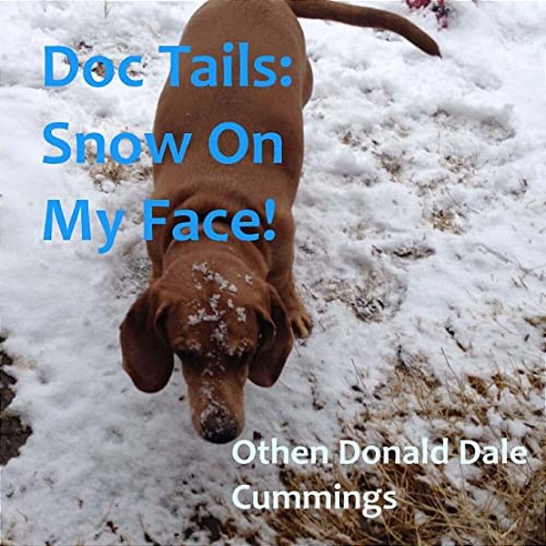 Doc Tails: Snow On My Face!-..