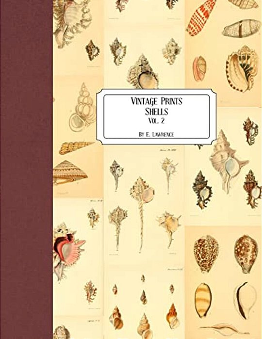 Vintage Prints: Shells: Vol. 2-..