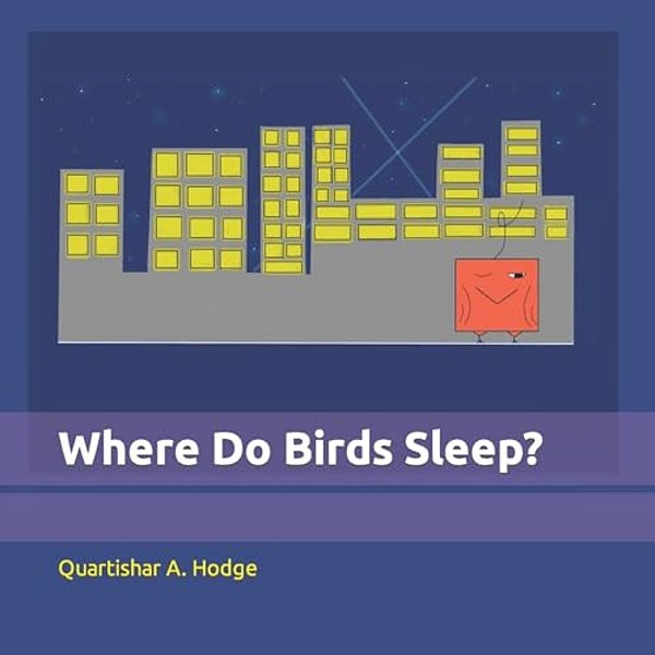 Where Do Birds Sleep?-..
