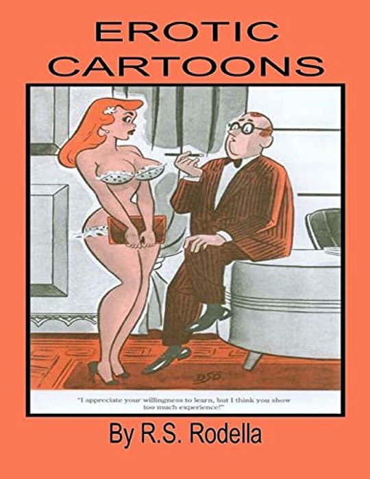 Erotic Cartoons: Coffee Table Book-..