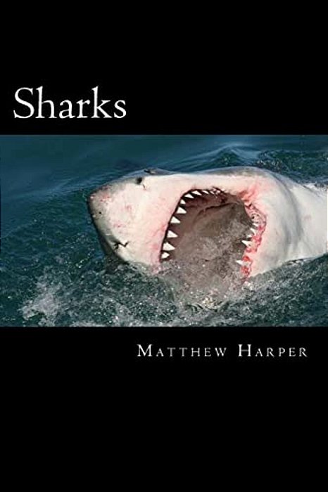 Sharks: A Fascinating Book Containing Shark Facts, Trivia, Images & Memory Recall Quiz: Suitable For Adults & Children-..