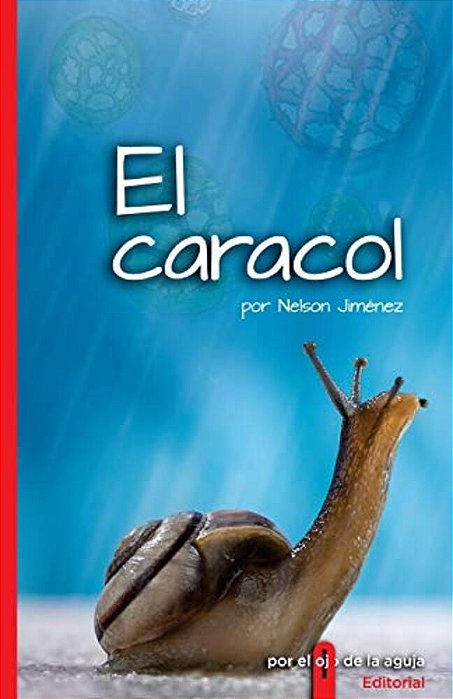 El Caracol-..