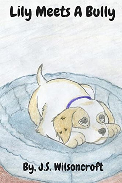 Lily Meets A Bully-..