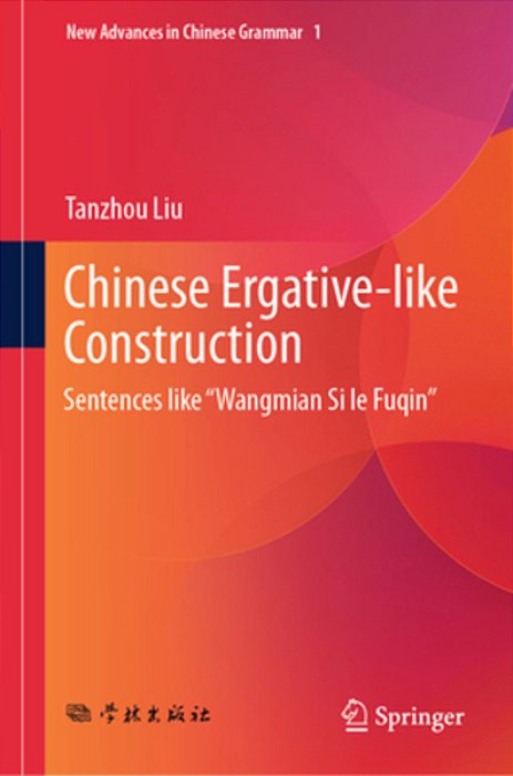 Chinese Ergative-Like Construction: Sentences Like "Wangmian Si-Le Fuqin-..