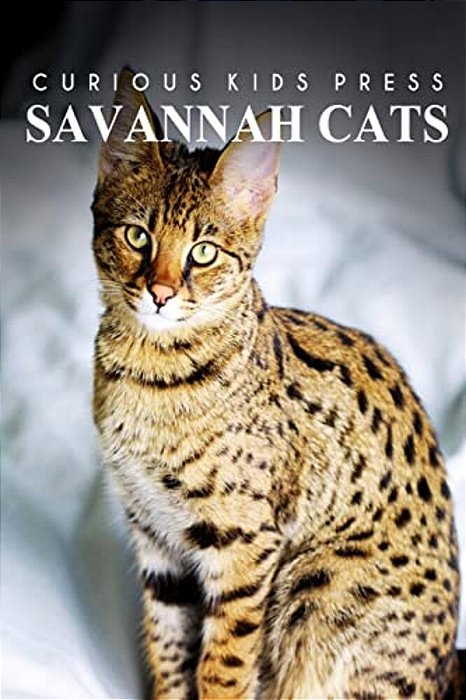 Savannah Cats - Curious Kids Press: Kids Book About Animals And Wildlife, Children's Books 4-6-..