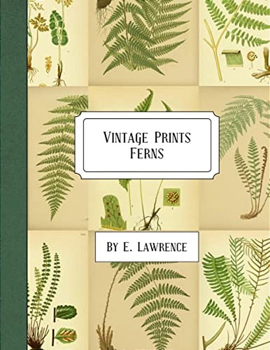 Vintage Prints: Ferns-..