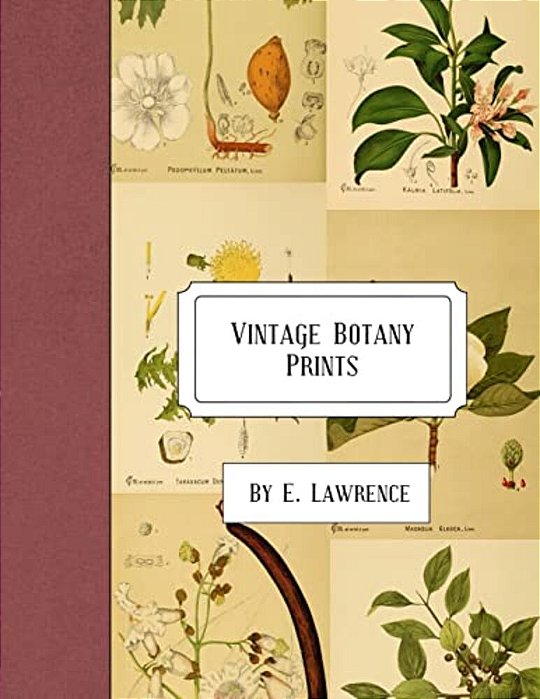 Vintage Botany Prints-..