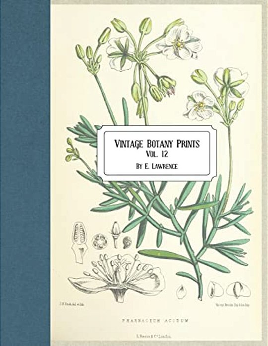 Vintage Botany Prints: Vol. 12-..