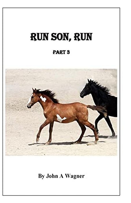 Run Son, Run Part 3-..