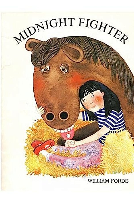Midnight Fighter-..