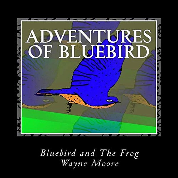 Adventures Of Bluebird: Bluebird And The Frog-..