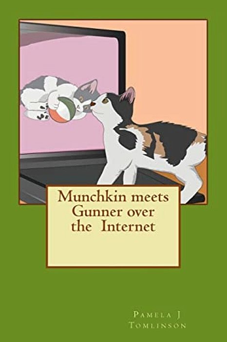 Munchkin Meets Gunner Over The Internet-..