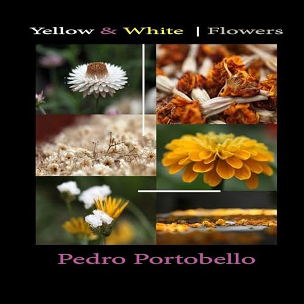 Yellow & White Flowers: Photo Album-..