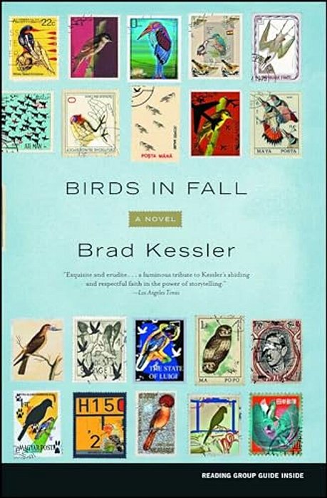 Birds In Fall-..