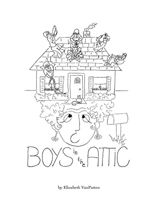 Boys In The Attic-..
