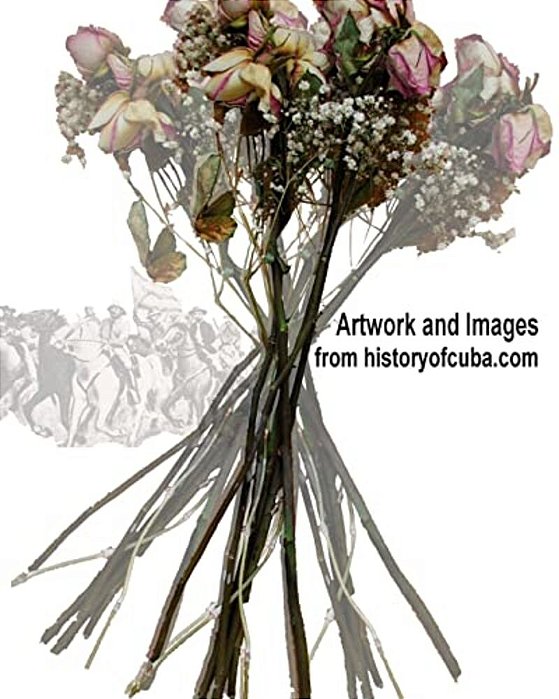 Artwork And Images From Historyofcuba. Com-..