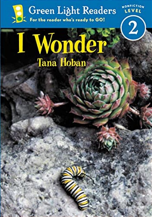 I Wonder-..