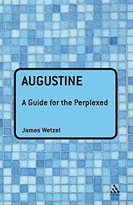 Augustine: A Guide For The Perplexed-..