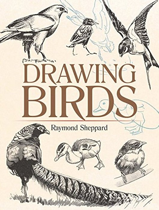 Drawing Birds-..