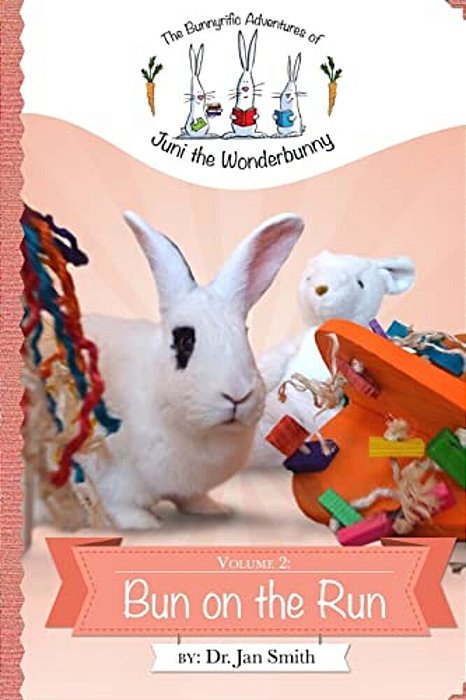 Bun On The Run: The Bunnyrific Adventures Of Juni The Wonderbunny-..