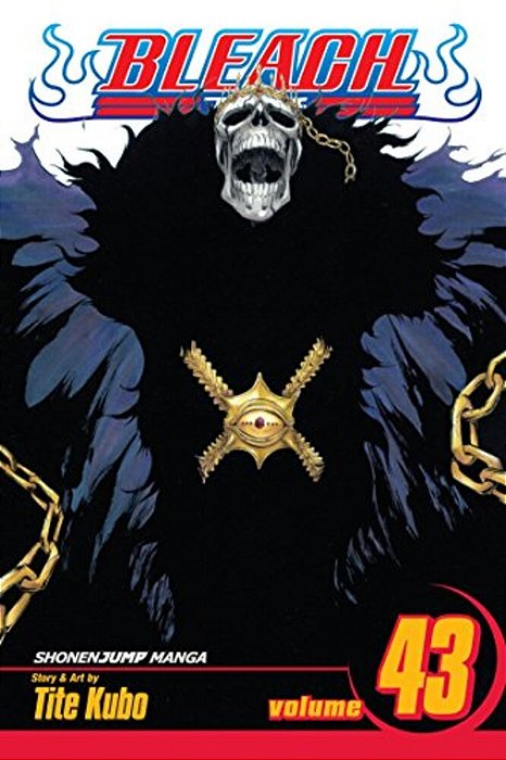 Bleach, Vol. 43: Kingdom Of Hollows-..