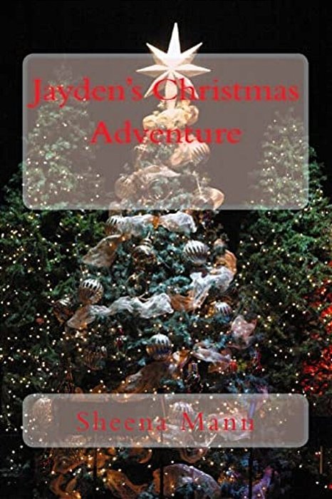 Jayden's Christmas Adventure-..