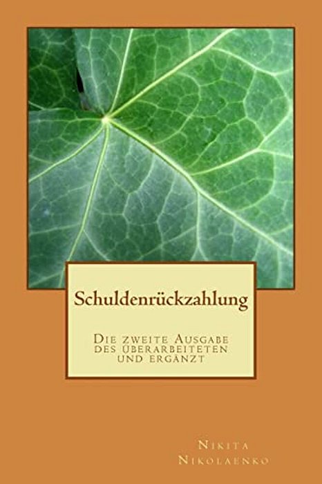 Schuldenrückzahlung-..