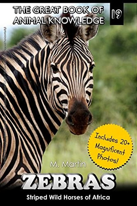 Zebras: Striped Wild Horses Of Africa-..