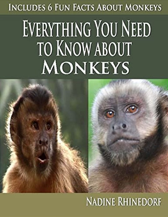Everything You Need To Know About Monkeys-..