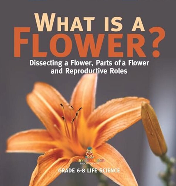 What Is A Flower? Dissecting A Flower, Parts Of A Flower And Reproductive Roles Grade 6-8 Life Science-..