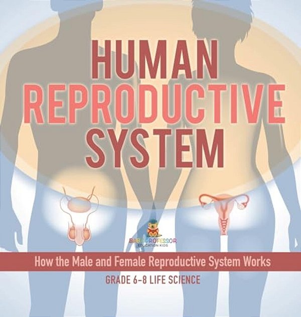 Human Reproductive System How The Male And Female Reproductive System Works Grade 6-8 Life Science-..