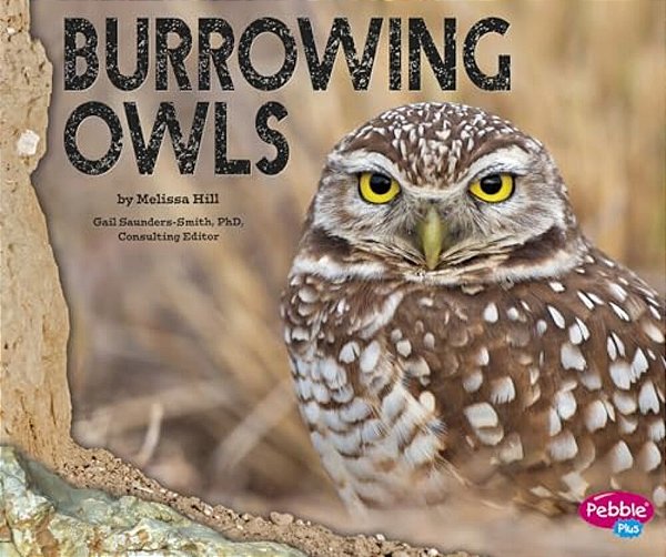 Burrowing Owls-..