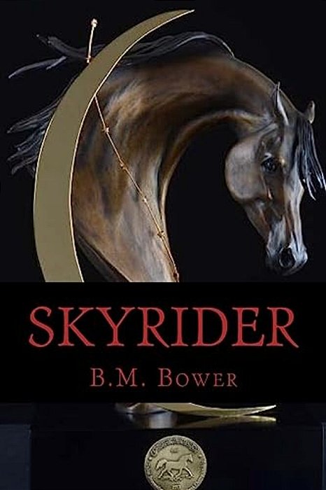 Skyrider-..