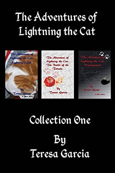 The Adventures Of Lightning The Cat: Short Stories Collection One-..