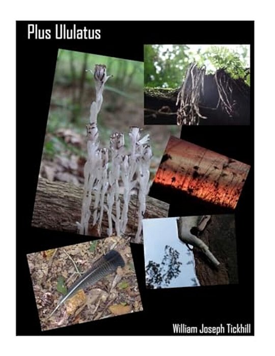 Plus Ululatus-..