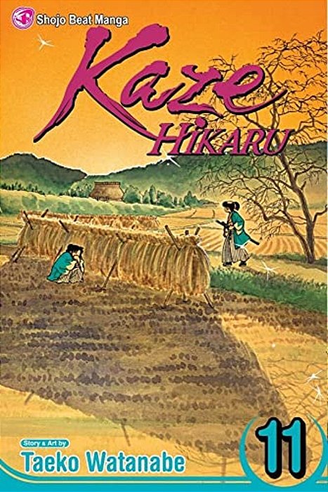 Kaze Hikaru, Vol. 11-..