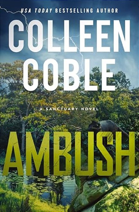 Ambush: A Small-Town Romantic Suspense-..