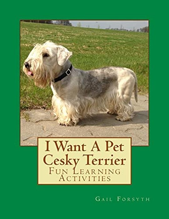 I Want A Pet Cesky Terrier: Fun Learning Activities-..
