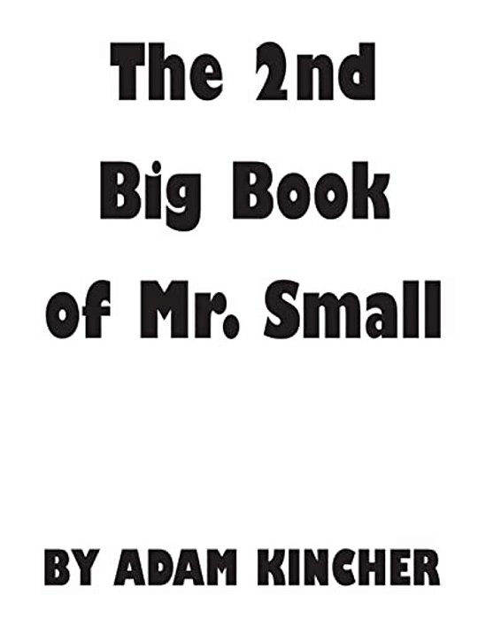The 2ND Big Book Of Mr. Small-..