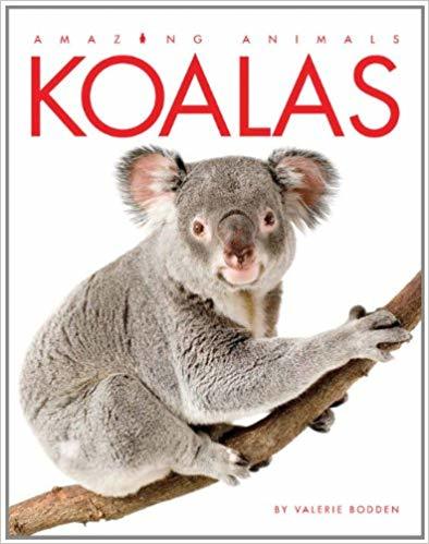 Amazing Animals Koalas-..
