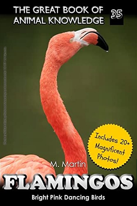 Flamingos: The Bright Pink Dancing Birds-..