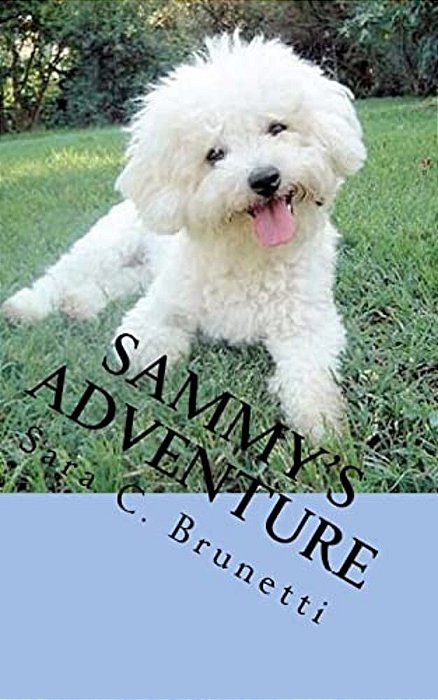 Sammy's Adventure-..