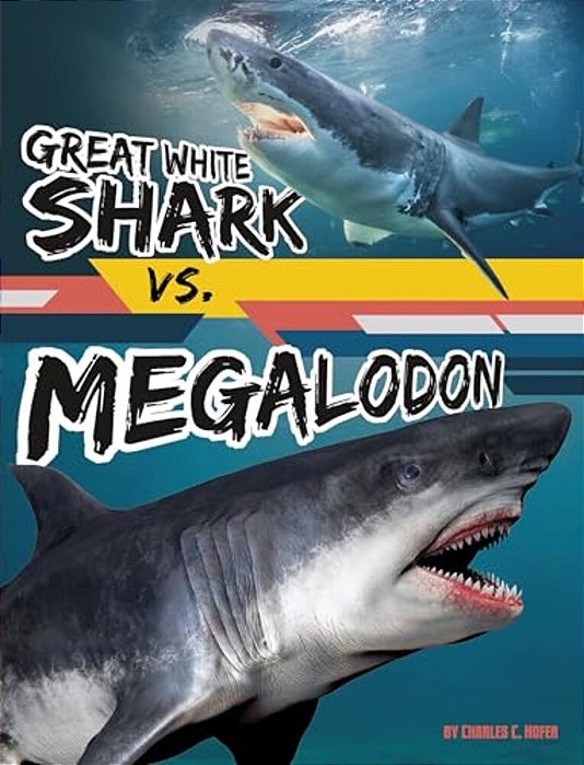 Great White Shark Vs. Megalodon-..