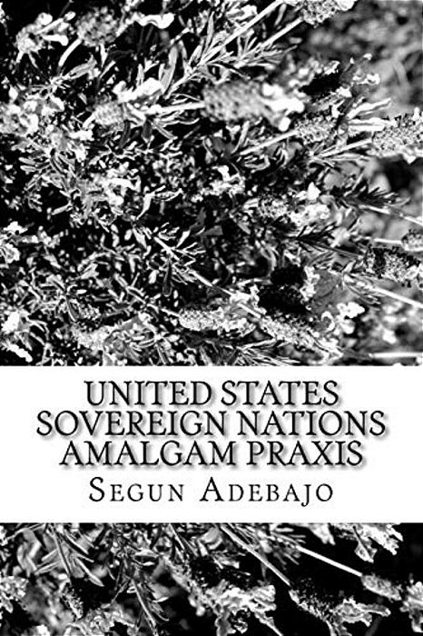 United States Sovereign Nations Amalgam Praxis: The Great American Dreams-..