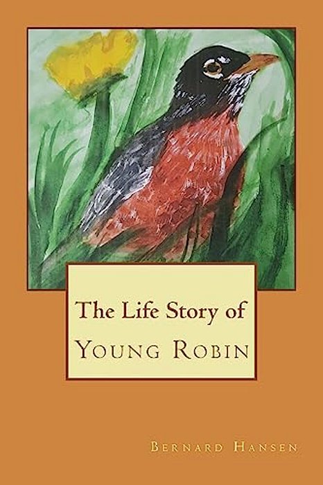 The Life Story Of Young Robin-..