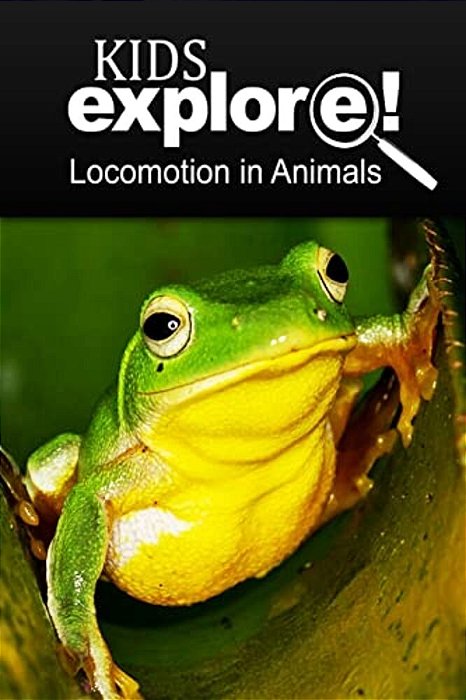 Flyers Gliders - Kids Explore: Animal Books Nonfiction - Books Ages 5-6-..